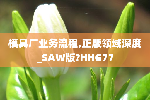 模具厂业务流程,正版领域深度_SAW版?HHG77