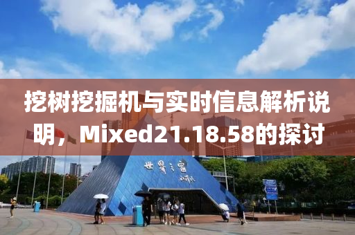 挖树挖掘机与实时信息解析说明，Mixed21.18.58的探讨