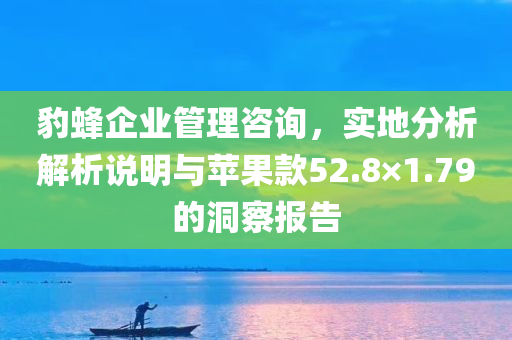 豹蜂企业管理咨询，实地分析解析说明与苹果款52.8×1.79的洞察报告