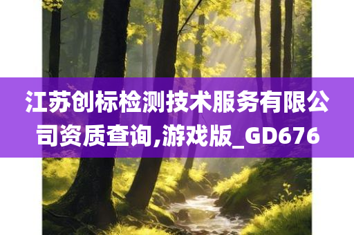 江苏创标检测技术服务有限公司资质查询,游戏版_GD676