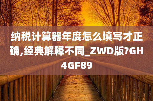 纳税计算器年度怎么填写才正确,经典解释不同_ZWD版?GH4GF89