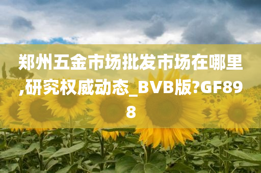 郑州五金市场批发市场在哪里,研究权威动态_BVB版?GF898