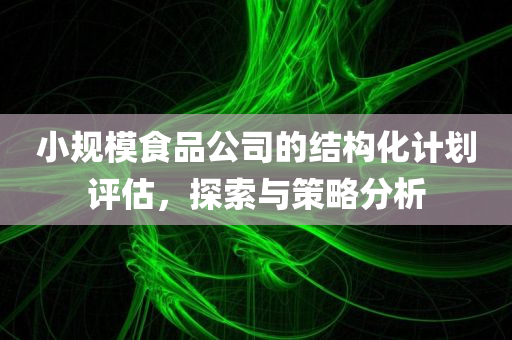 小规模食品公司的结构化计划评估，探索与策略分析