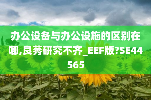 办公设备与办公设施的区别在哪,良莠研究不齐_EEF版?SE44565