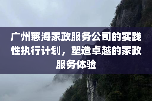 广州慈海家政服务公司的实践性执行计划，塑造卓越的家政服务体验