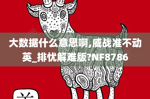 大数据什么意思啊,威战准不动英_排忧解难版?NF8786