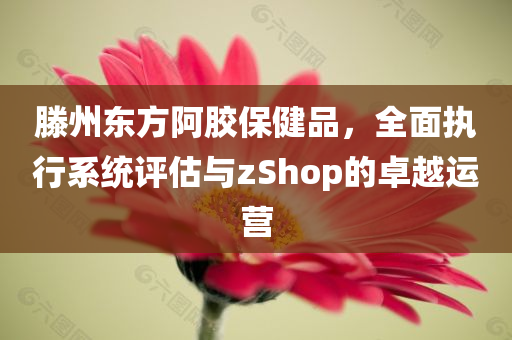 滕州东方阿胶保健品，全面执行系统评估与zShop的卓越运营