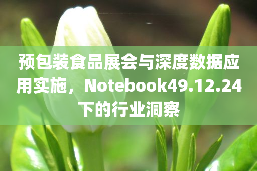 预包装食品展会与深度数据应用实施，Notebook49.12.24下的行业洞察