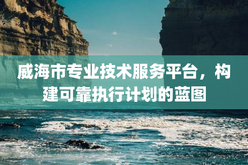 威海市专业技术服务平台，构建可靠执行计划的蓝图