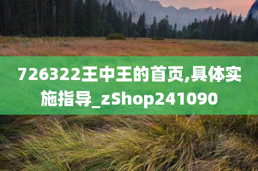 726322王中王的首页,具体实施指导_zShop241090