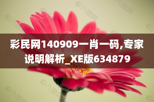 彩民网140909一肖一码,专家说明解析_XE版634879