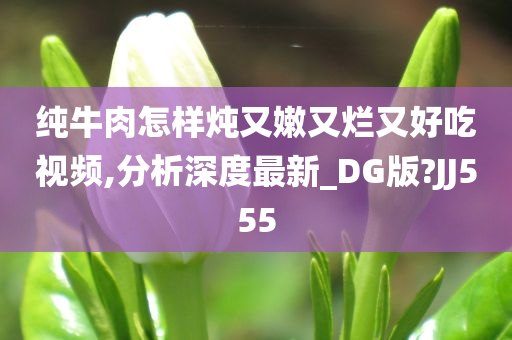 纯牛肉怎样炖又嫩又烂又好吃视频,分析深度最新_DG版?JJ555