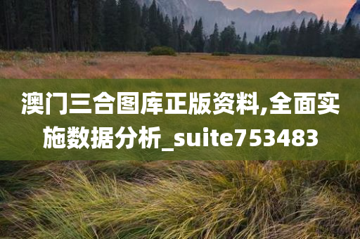 澳门三合图库正版资料,全面实施数据分析_suite753483