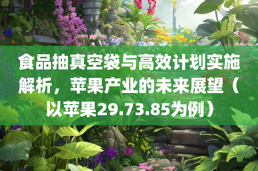 食品抽真空袋与高效计划实施解析，苹果产业的未来展望（以苹果29.73.85为例）