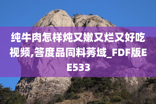 纯牛肉怎样炖又嫩又烂又好吃视频,答度品同料莠域_FDF版EE533