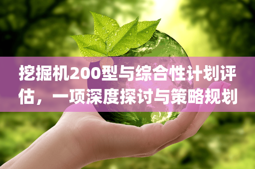 挖掘机200型与综合性计划评估，一项深度探讨与策略规划