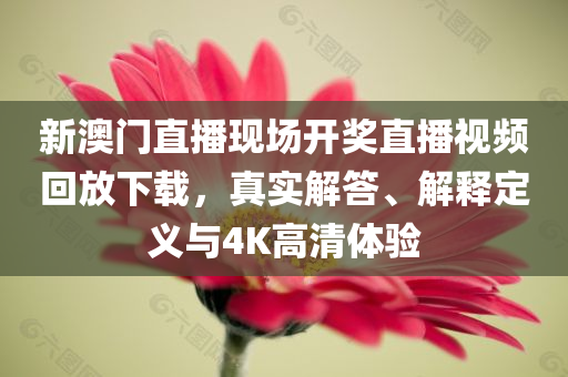 新澳门直播现场开奖直播视频回放下载，真实解答、解释定义与4K高清体验