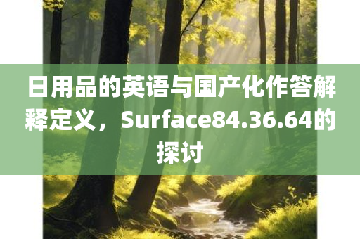 日用品的英语与国产化作答解释定义，Surface84.36.64的探讨