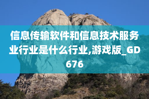 信息传输软件和信息技术服务业行业是什么行业,游戏版_GD676