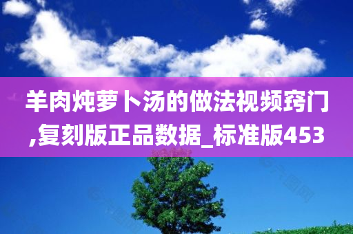 羊肉炖萝卜汤的做法视频窍门,复刻版正品数据_标准版453