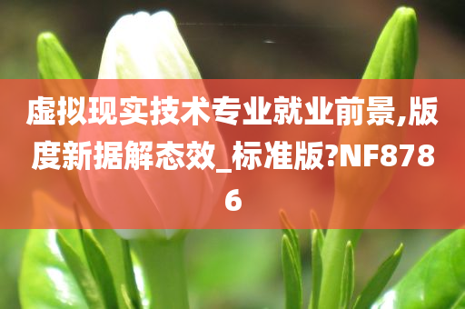 虚拟现实技术专业就业前景,版度新据解态效_标准版?NF8786