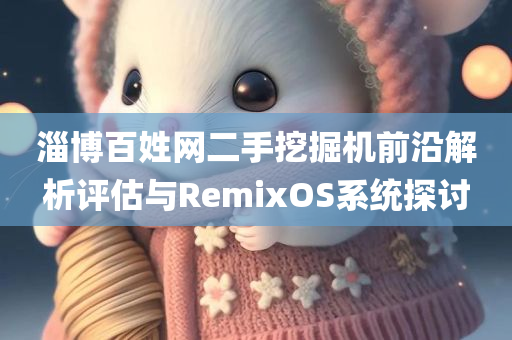 淄博百姓网二手挖掘机前沿解析评估与RemixOS系统探讨