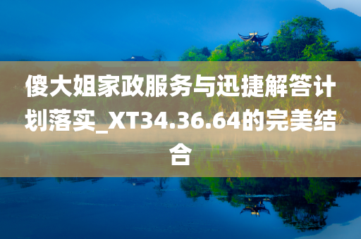 傻大姐家政服务与迅捷解答计划落实_XT34.36.64的完美结合