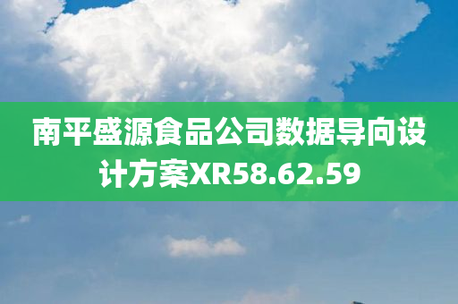 南平盛源食品公司数据导向设计方案XR58.62.59