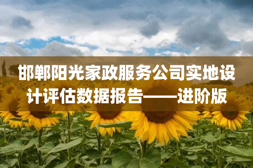 邯郸阳光家政服务公司实地设计评估数据报告——进阶版