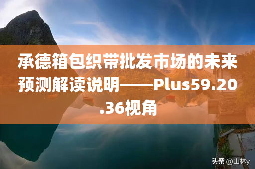 承德箱包织带批发市场的未来预测解读说明——Plus59.20.36视角